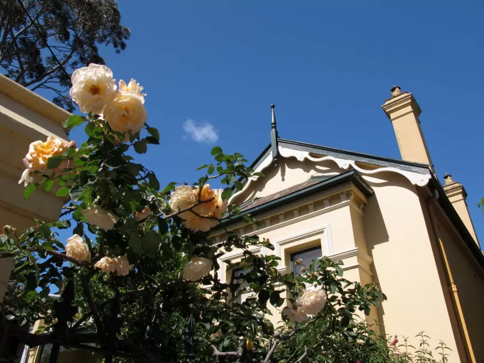 Yellow house and yellow rose against a blue sky.