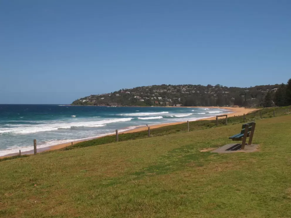 Bench with a sweeping view.