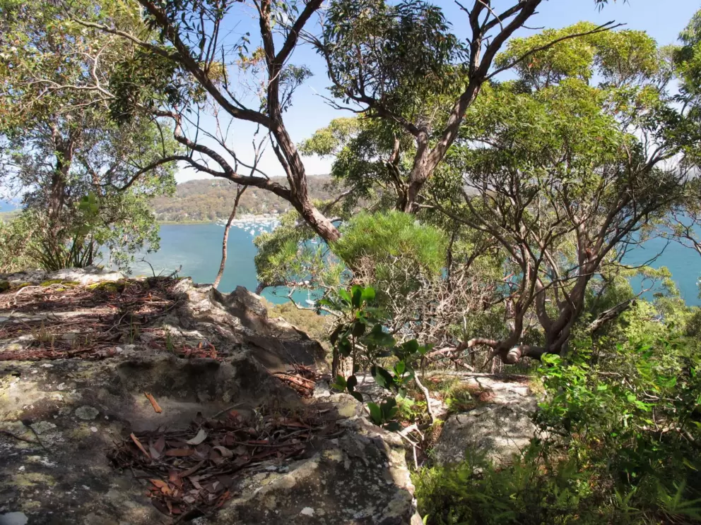 The dappled boulders.