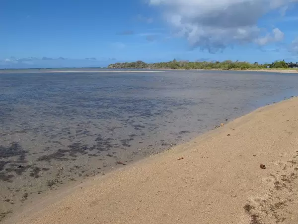 You can see the sealife under the water.