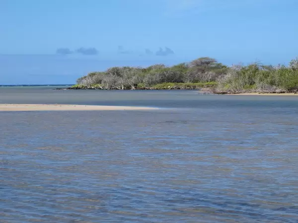 A sandbar makes for a pretty variation of color.