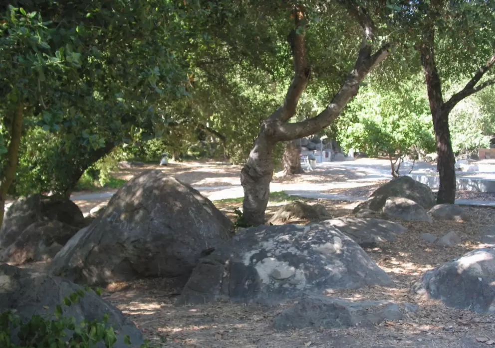 Great boulders for kids to climb on!