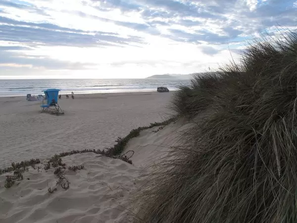 Grass, dunes, sea, and sky.