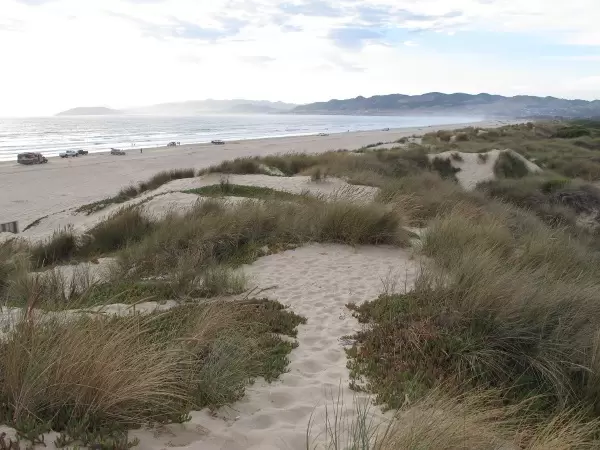 Expansive view over the dunes.