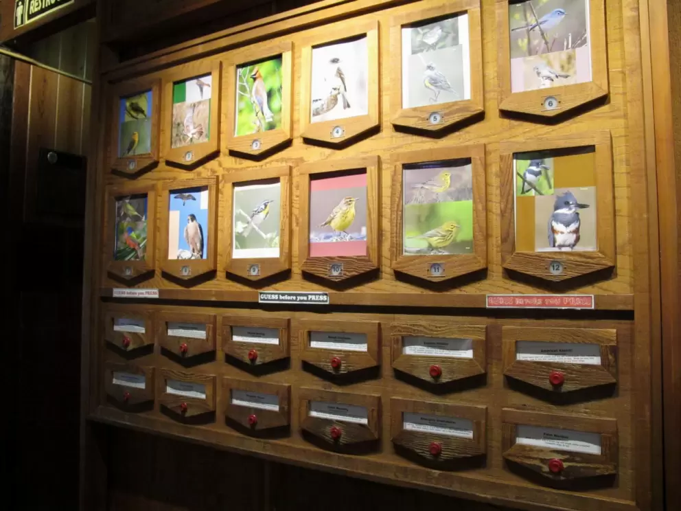 Plenty of flaps to lift...exhibit about birds.