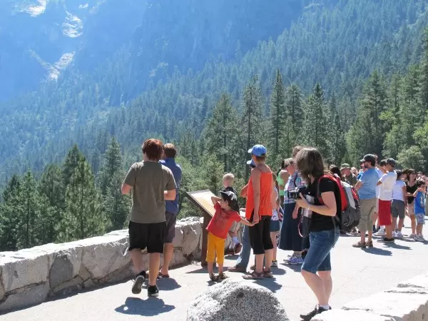 Visitors enjoy the view at Tunnel View Lookout. Look at all those wonderful trees!