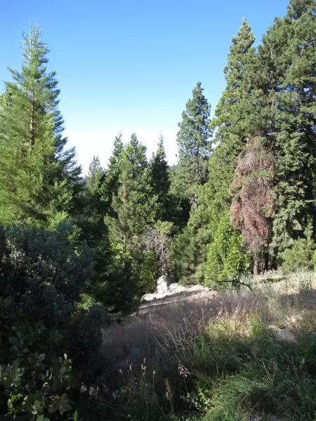 View from the parking lot.