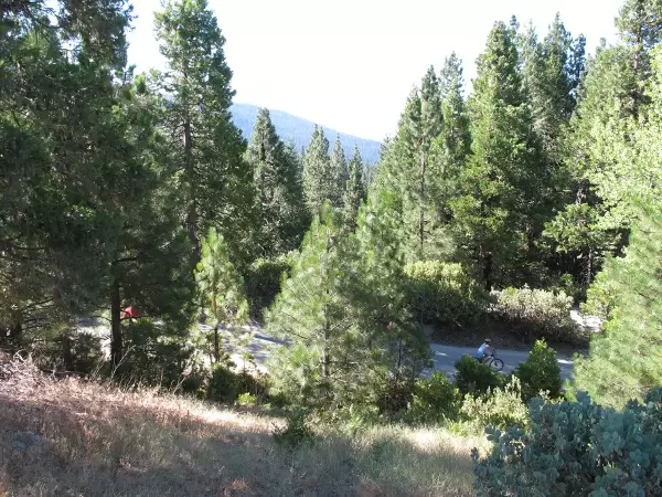 Bicyclist on a steep incline, seen from the parking lot. Weeeee!