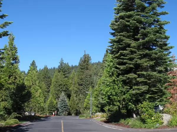 Driveway that leads to the lodge.