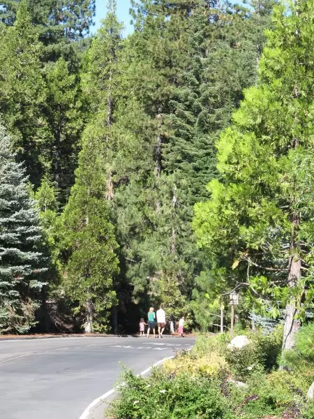 Family walking down the driveway.