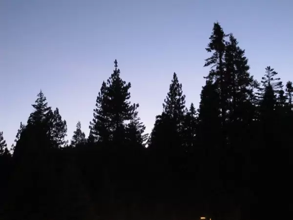 Tenaya Lodge at night- romantic.