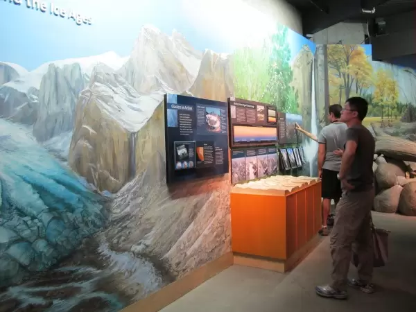 The exhibits are beautifully presented.