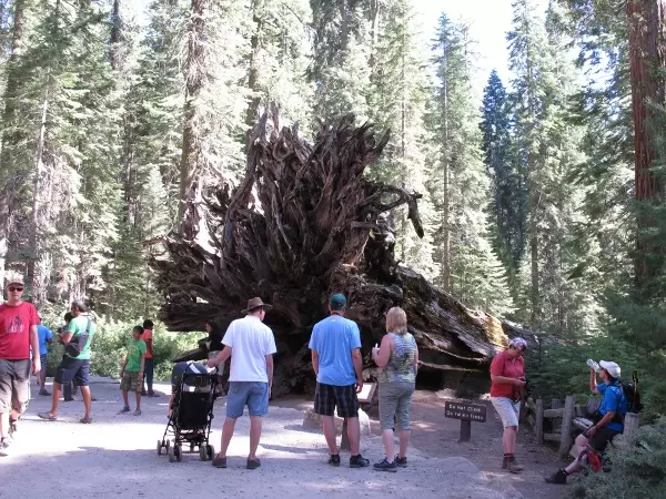Hikers stop for a rest.