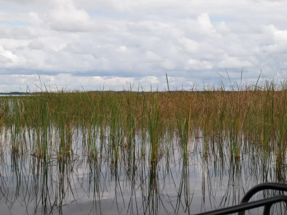 Sawgrass is what you zoom through.