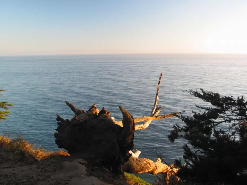 You might think twice about going for a walk at Mesa steps beach, below this path!