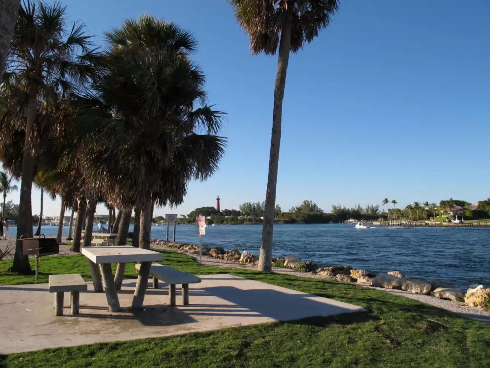 Picnic table with a view!