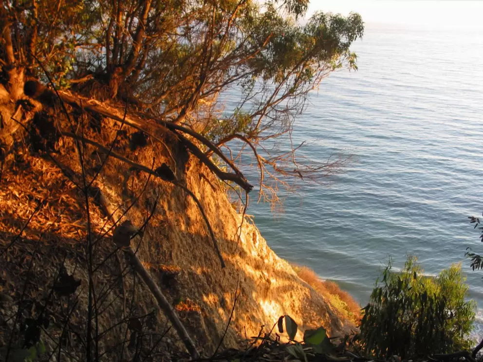 Rugged Douglas Preserve.