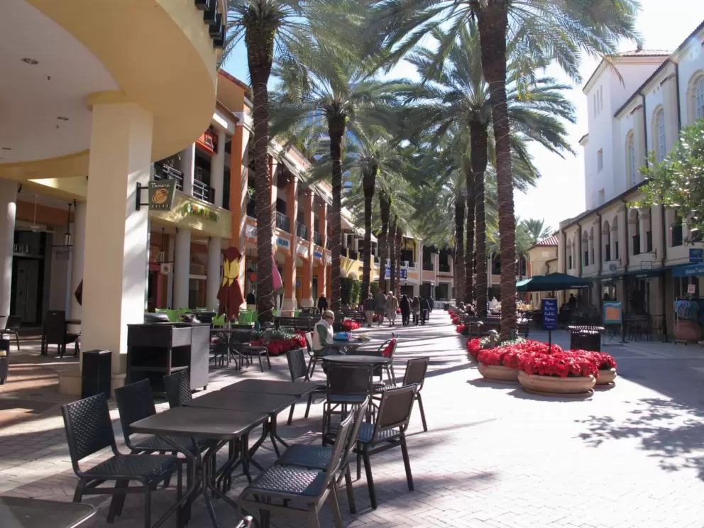 Palm trees and flowers.