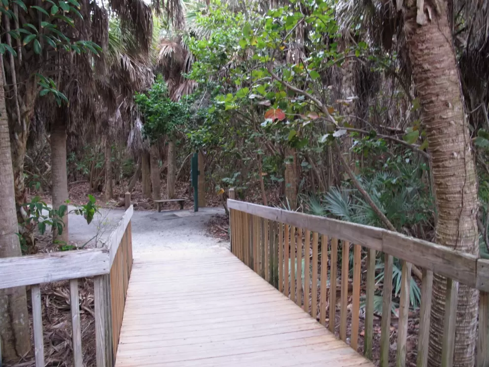 Walkway to the beach.
