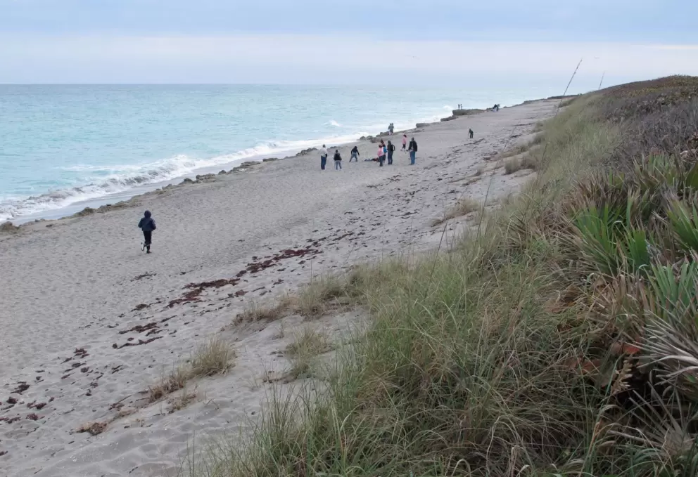 Winter day at Blowing Rocks Preserve.