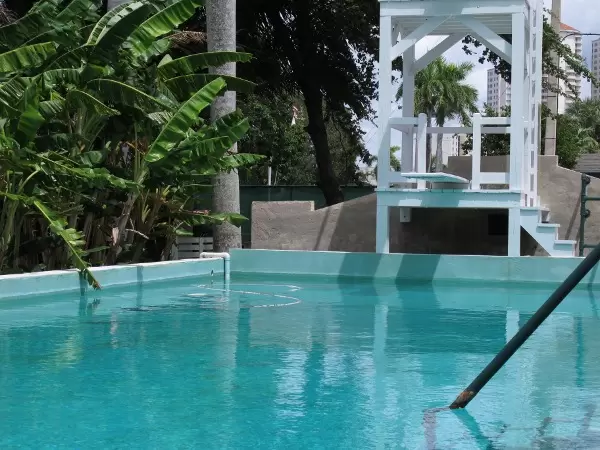 The pool.