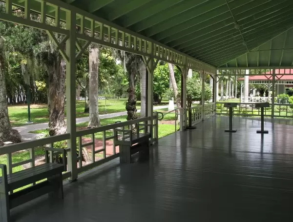 Greenery everywhere.