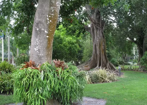 The gardens are lovely!