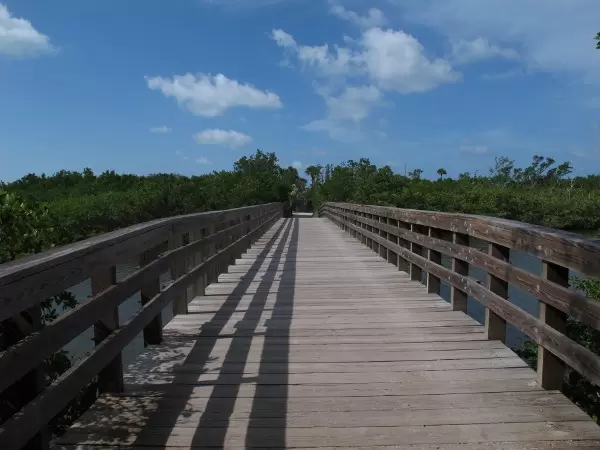 Wooden walkway over the estuary to the beach.