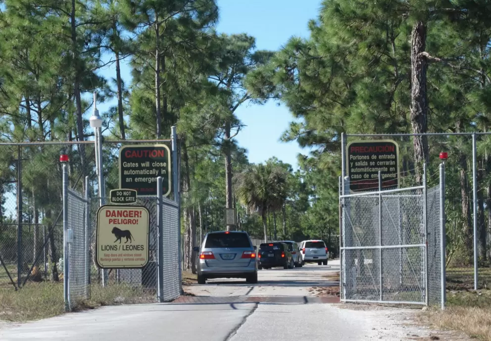 The lion section of the park.