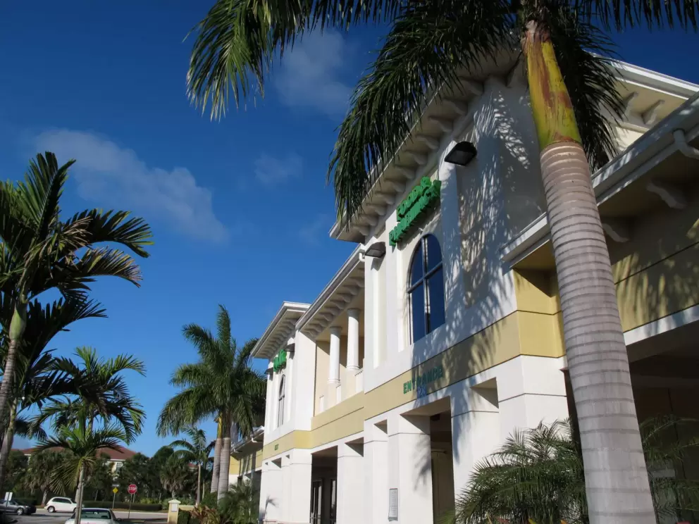 Sit outside at Starbucks with a view of royal palms! 