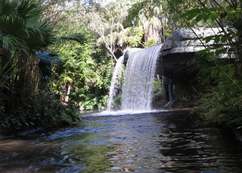 Passing a waterfall on the Jungle Cruise.