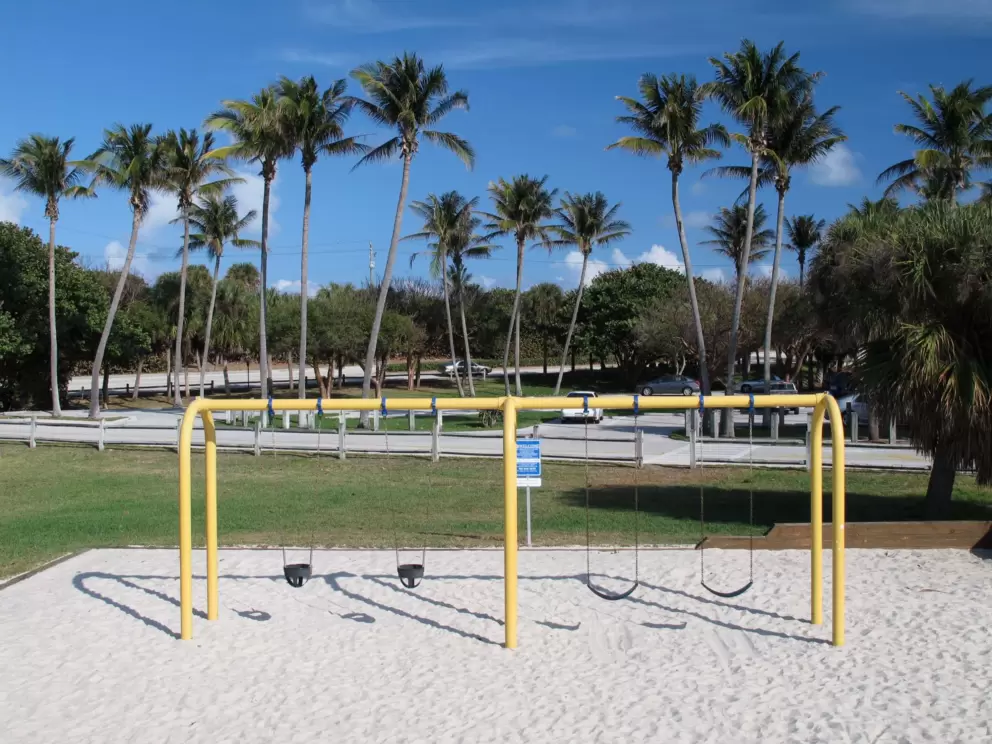 Swings over sand, and plenty of palms.