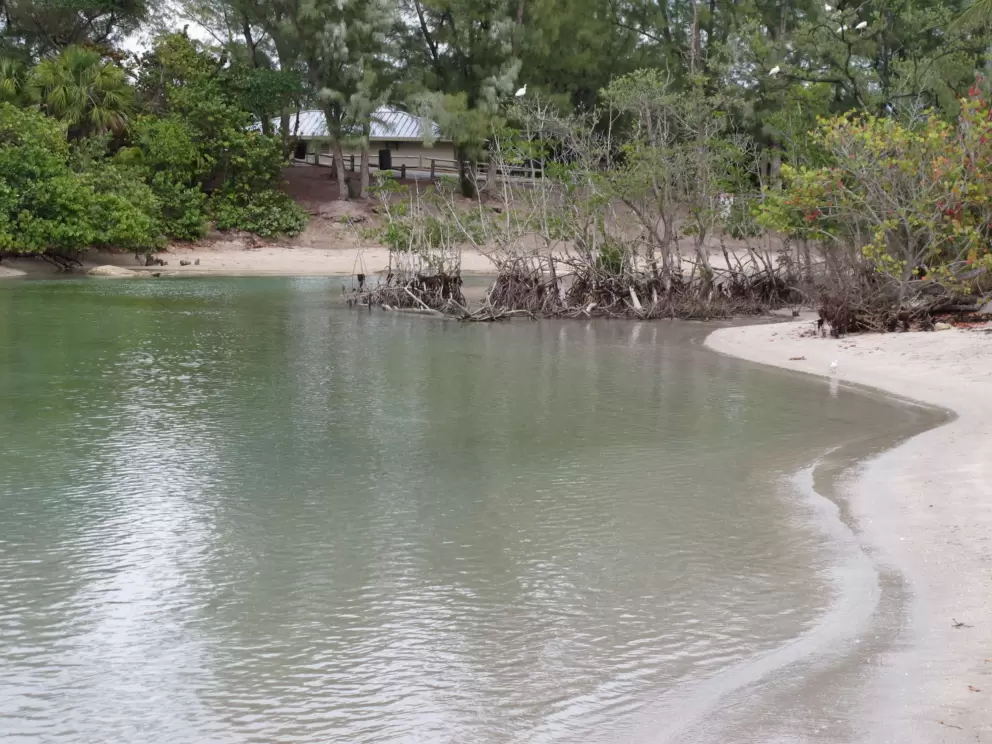 The pretty curves of the shoreline at the lagoon.