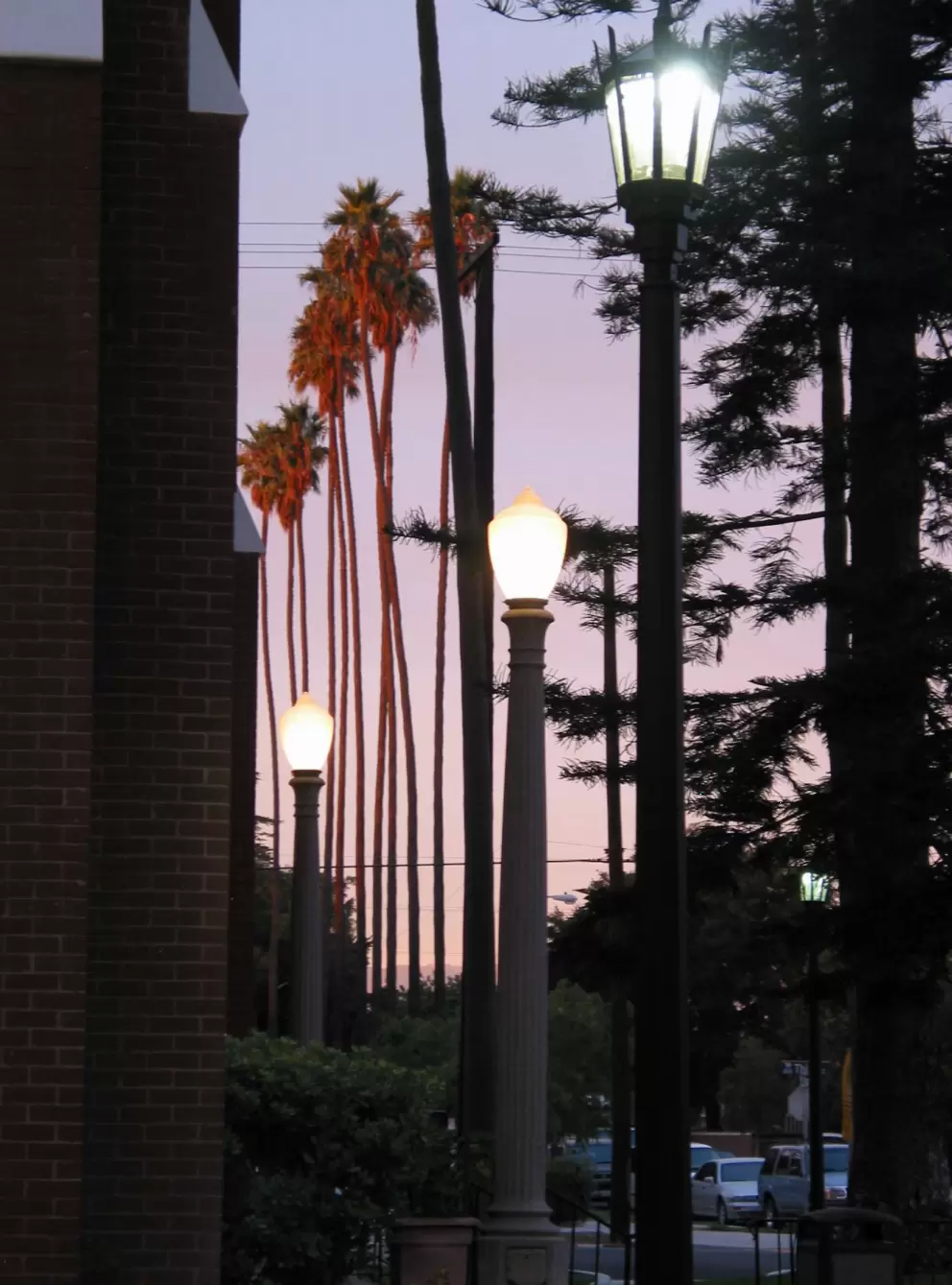 Lampposts and super tall palms.