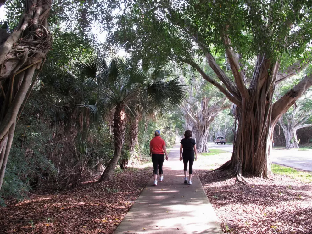 Friends enjoying their morning walk on Bridge Road.