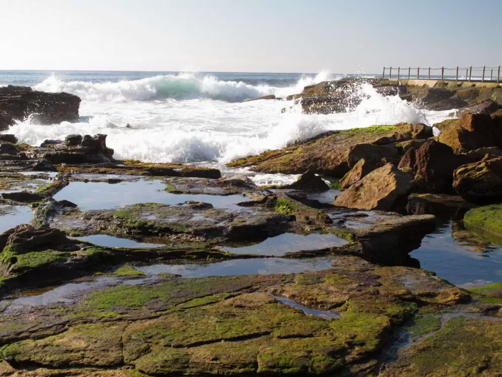 Tide pools and crashing waves.