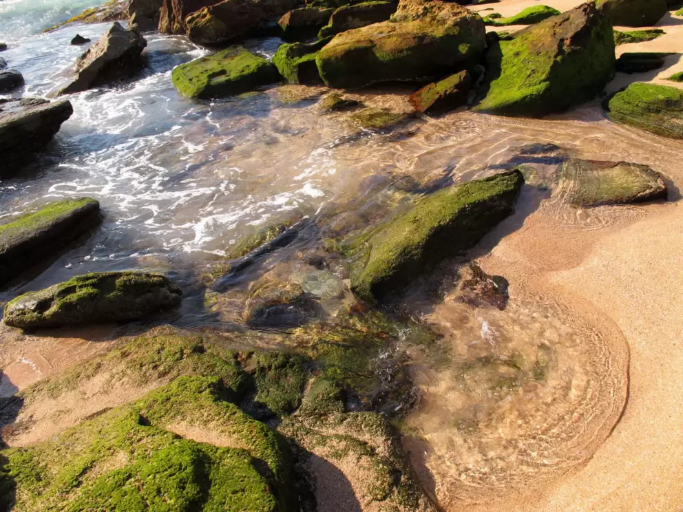 Look at this nice, nice water to play in!! This is joy.