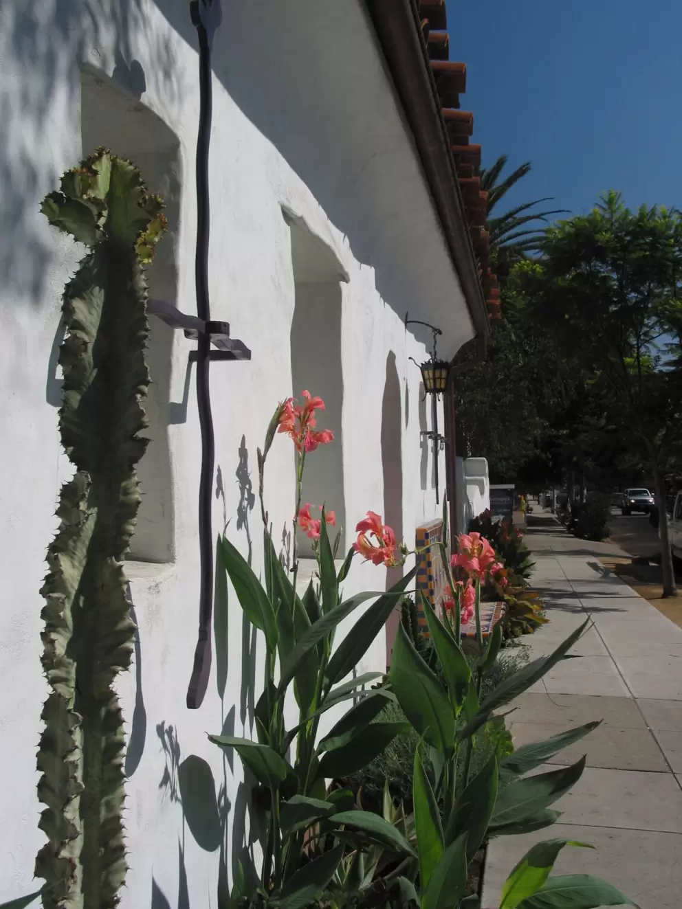 A tall lettucy plant adds to the imaginative atmosphere.