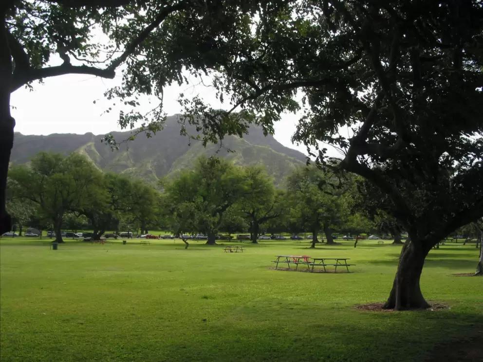 There is a ton of open space at Kapiolani Park!