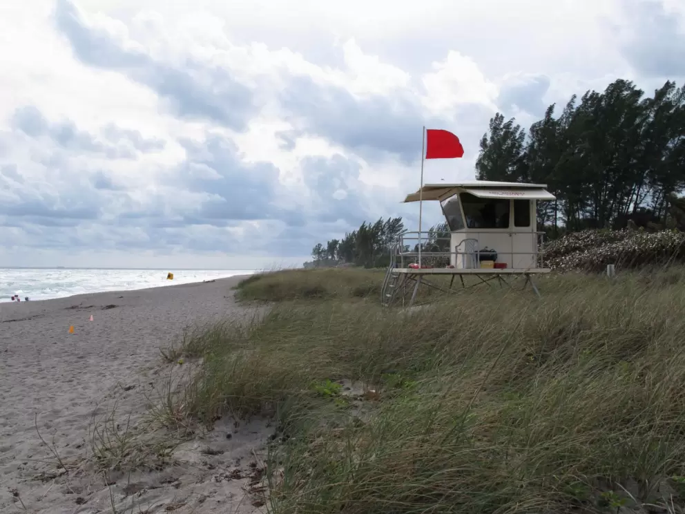 Lifeguard shack and a lovely forest of Ironwood trees.
