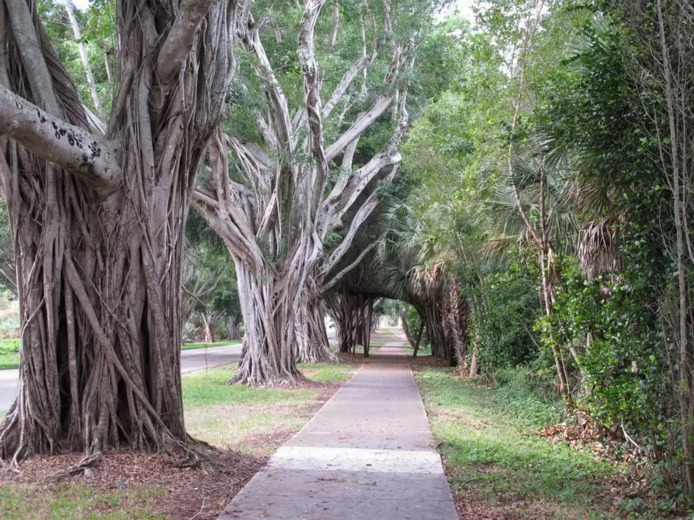 Walking towards the arch.