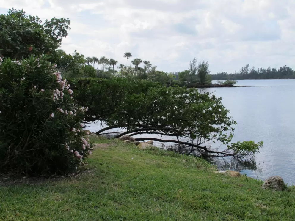 Enjoy views across to the other side of the intracoastal waterway.