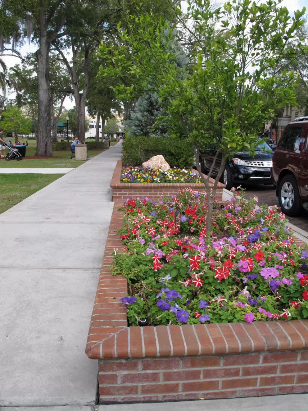Flower beds along Park Ave.