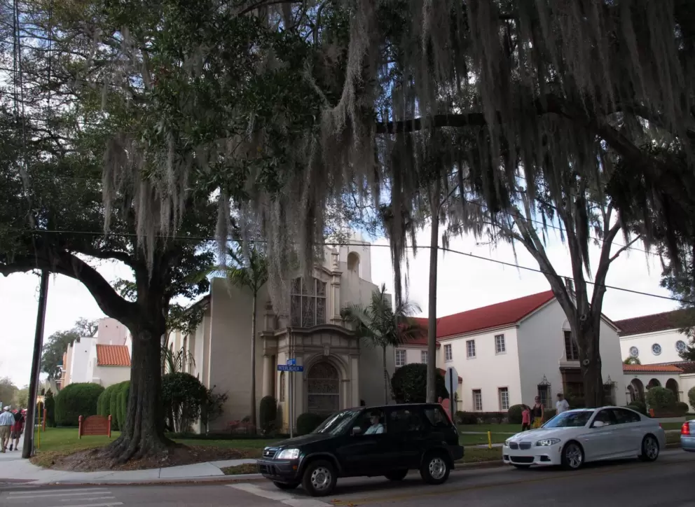 Oak with moss, on a side street called Morse Blvd leading to the lake.