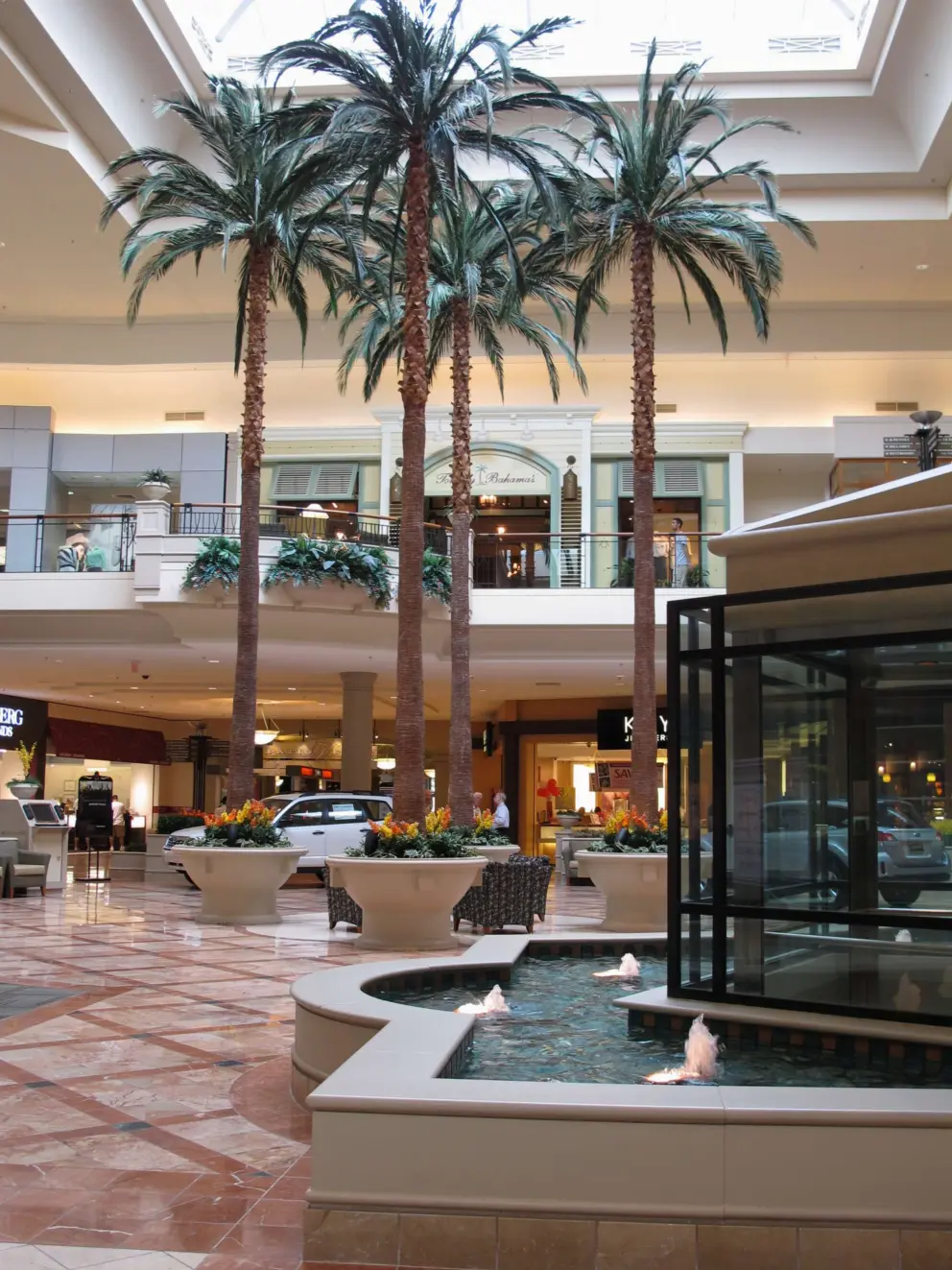 Glass elevator, fountain, and palm trees.