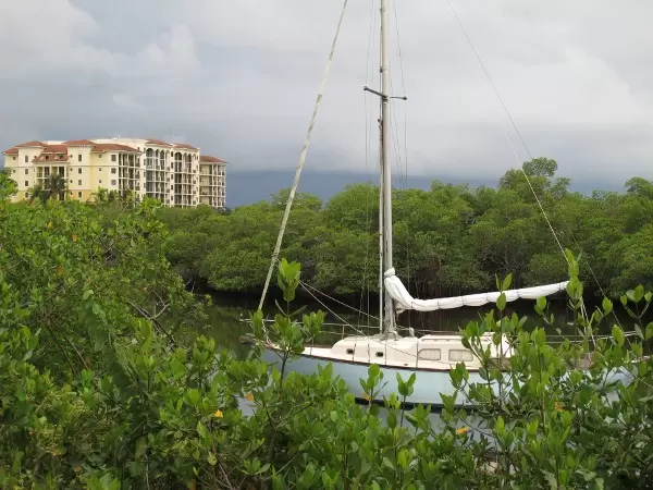View of the river when you arrive at Coastal Way, south of the bridge.