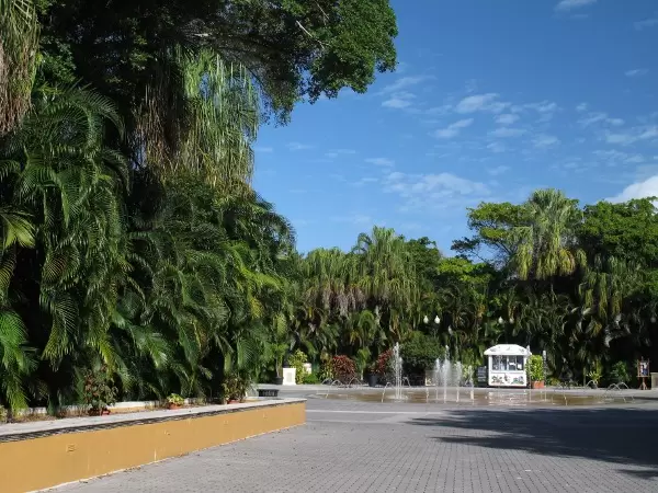 The interactive play fountain and abundance of tropical vegetation.
