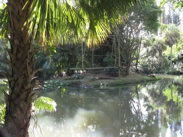 The grounds of the zoo are green, green, green.