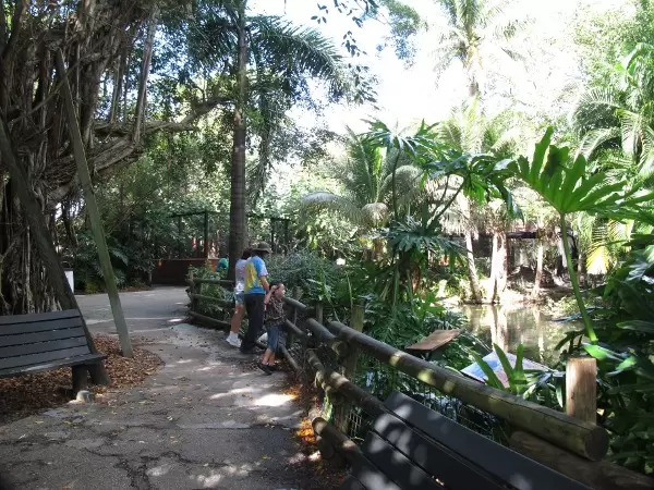 A family looks at water birds amidst the beauty.