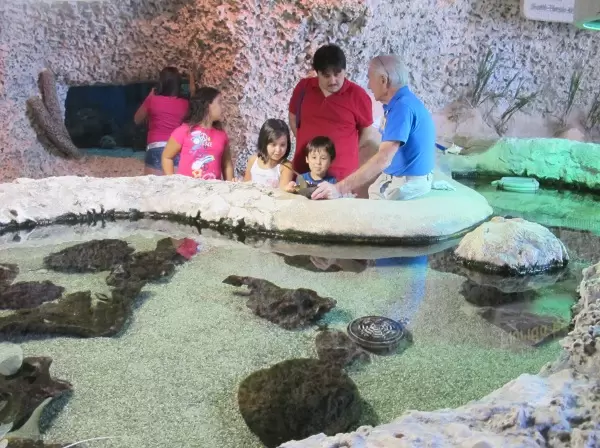 A volunteer tells a family about marinelife in Florida.